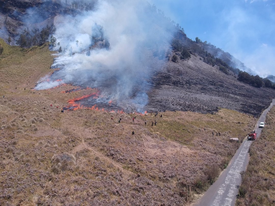 Kebakaran hutan dan lahan di kawasan Taman Nasional Bromo Tengger Semeru, Blok Savana Lembah Watangan atau Bukit Teletubbies. (Foto: BB TNBTS)