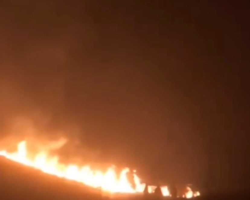 Kebakaran yang melanda Bukit Teletubbies kawasan wisata alam Gunung Bromo. (Foto: Instagram @Malangraya_info)