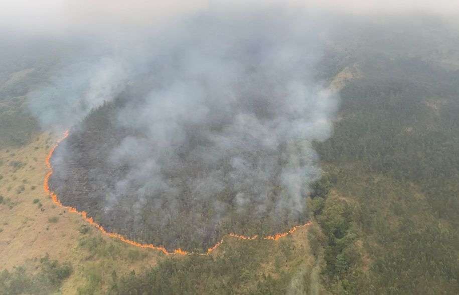 Kebakaran hutan di Gunung Arjumo kawasan Tahura R Soerjo. (Foto: Istimewa)