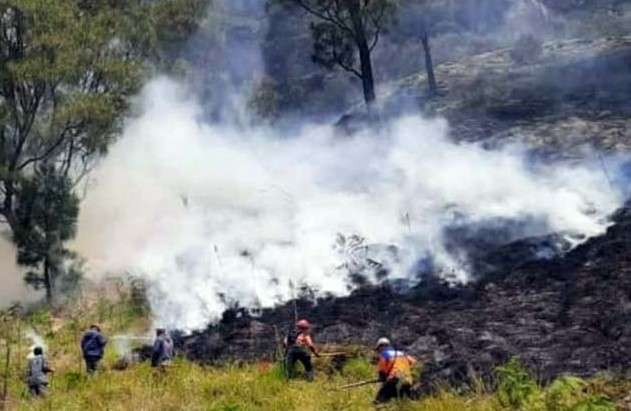 Petugas gabungan memadamkan kebakaran hutan dan lahan (karhutla) di kawasan Padang Savana, Gunung Bromo. (Foto: BPBD Kabupaten Probolinggo).