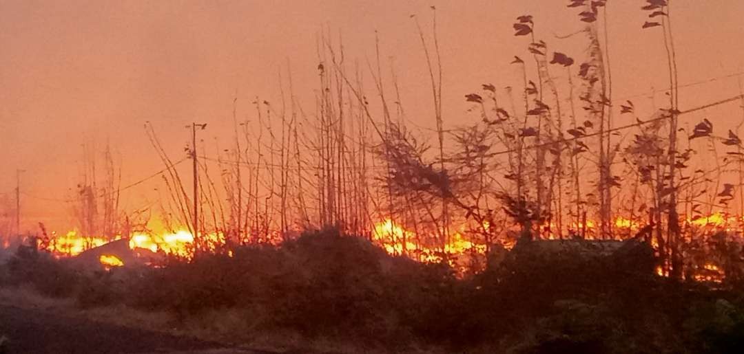 Kebakaran lahan yang terjadi beberapa hari lalu di areal lahan kilang minyak Tuban. (Foto: Khoirul Huda/Ngopibareng.id)