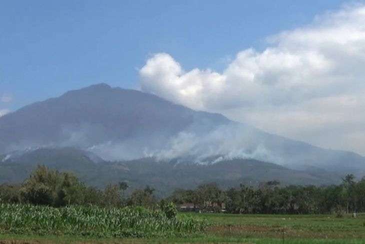 Terlihat dari jauh, kebakaran hutan di Gunung Lawu mendekati kawasan kebun teh Jamus, Desa Sine, Kecamatan Sine, Kabupaten Ngawi. (Foto: Istimewa/Antara)