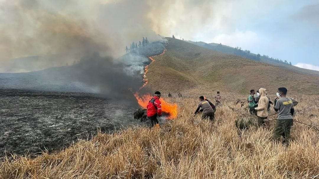 Kebakaran hutan dan lahan (karhutla) di Savana Watangan, Gunung Bromo (Bukit Teletebbies) mengakibatkan pasokan air bersih di enam desa di Kecamatan Sukapura, Kabupaten Probolinggo terganggu. (Foto: BB TNBTS)