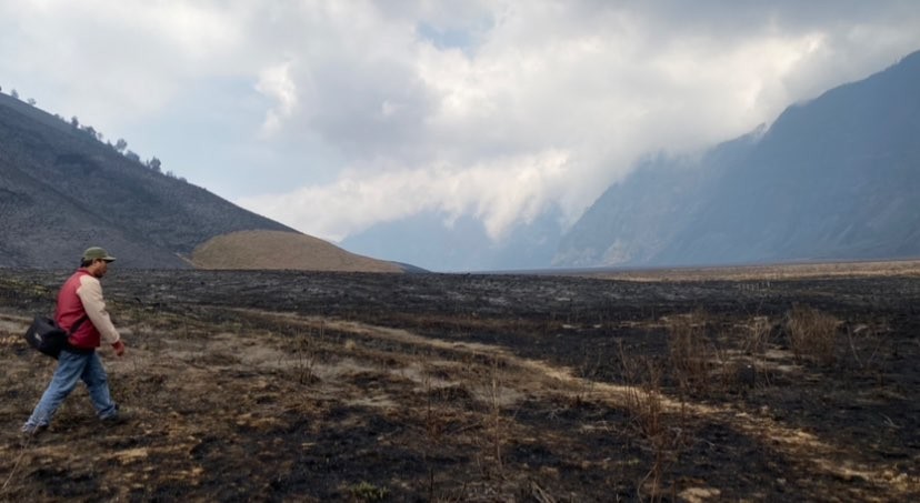 Sisa-sisa kebakaran di sabana Gunung Bromo (Foto: Lalu Theo/Ngopibareng.id)