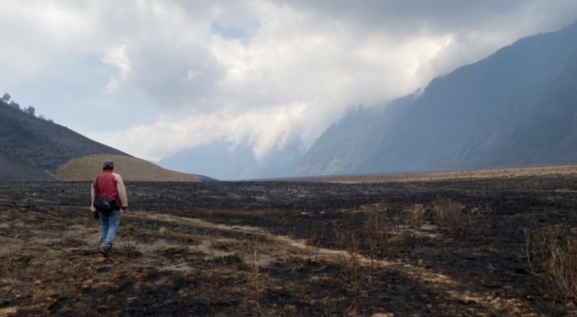 Kawasan Wisata Alam Gunung Bromo yang hangus terbakar (Foto: Lalu Theo/Ngopibareng.id)