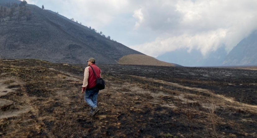 Kebakaran hutan dan lahan yang terjadi di kawasan Gunung Bromo pekan lalu (Foto: Lalu Theo/Ngopibareng.id)