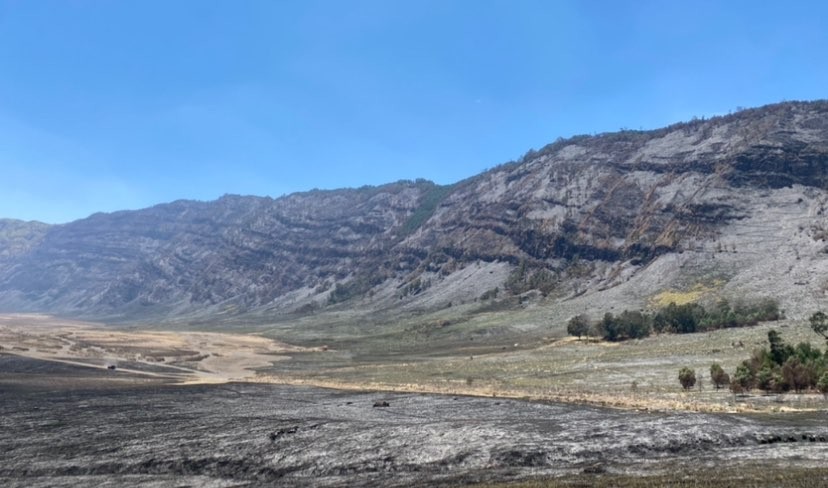 Kawasan Wisata Alam Gunung Bromo yang terdampak kebakaran (Foto: Lalu Theo/Ngopibareng.id)