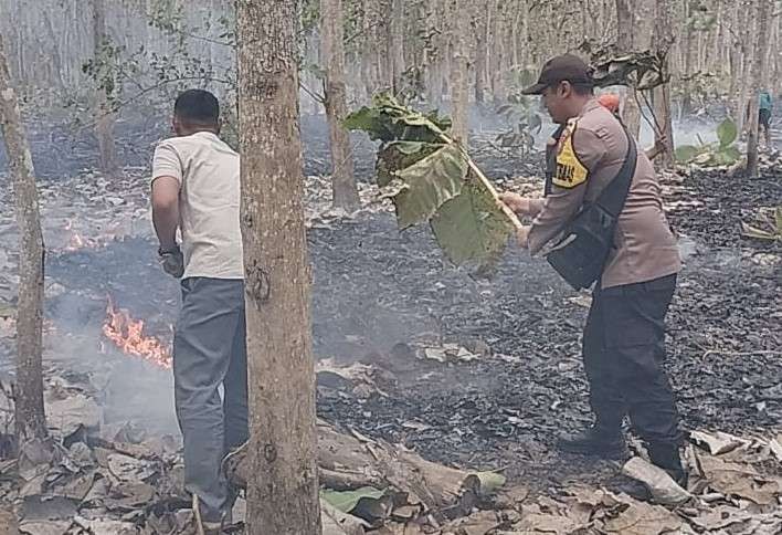 Petugas berupaya memadamkan api di area hutan jati dengan alat seadanya. (Foto: Istimewa)