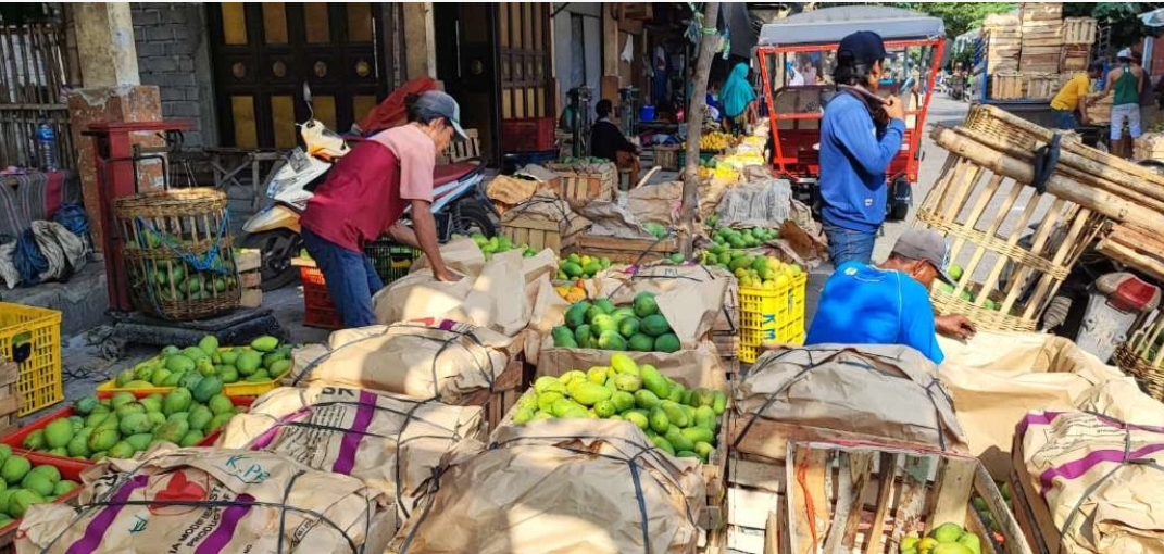Pedagang mangga di Kediri menyebut stok buah mangga melimpah di pasar setempat, sejak pekan lalu. Panen raya mangga masih akhir tahun. (Foto: Fendi Lesmana/Ngopibareng.id)