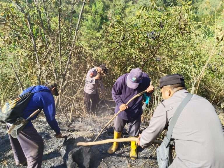 Tim gabungan dari Perhutani, Polres Ngawi, TNI dan juga dibantu warga terus melakukan pemadaman api akibat kebakarna hutan di petak 33 dan 38 RPH Manyul BKPH Lawu, pada Minggu 24 dan Senin 25 September 2023. (Foto: dok. Polres ngawi)