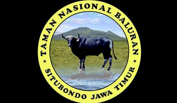 Taman Nasional Baluran Situbondo, Jawa Timur, ditutup sementara bagi pengunjung wisata pada 25-30 September 2023. (Foto: Ant)