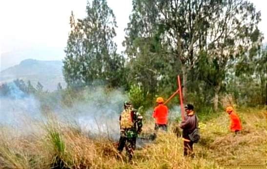 Polisi berhasil mengamankan seorang pelaku pembakaran hutan wisata lereng Gunung Ijen Kecamatan Sempol Ijen Bondowoso. (Foto: Guido Saphan/Ngopibareng.id)