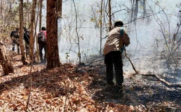Petugas gabungan memadamkan titik api membakar hutan TN Baluran Situbondo dengan cara manual. (Foto: Humas TN Baluran Situbondo)
