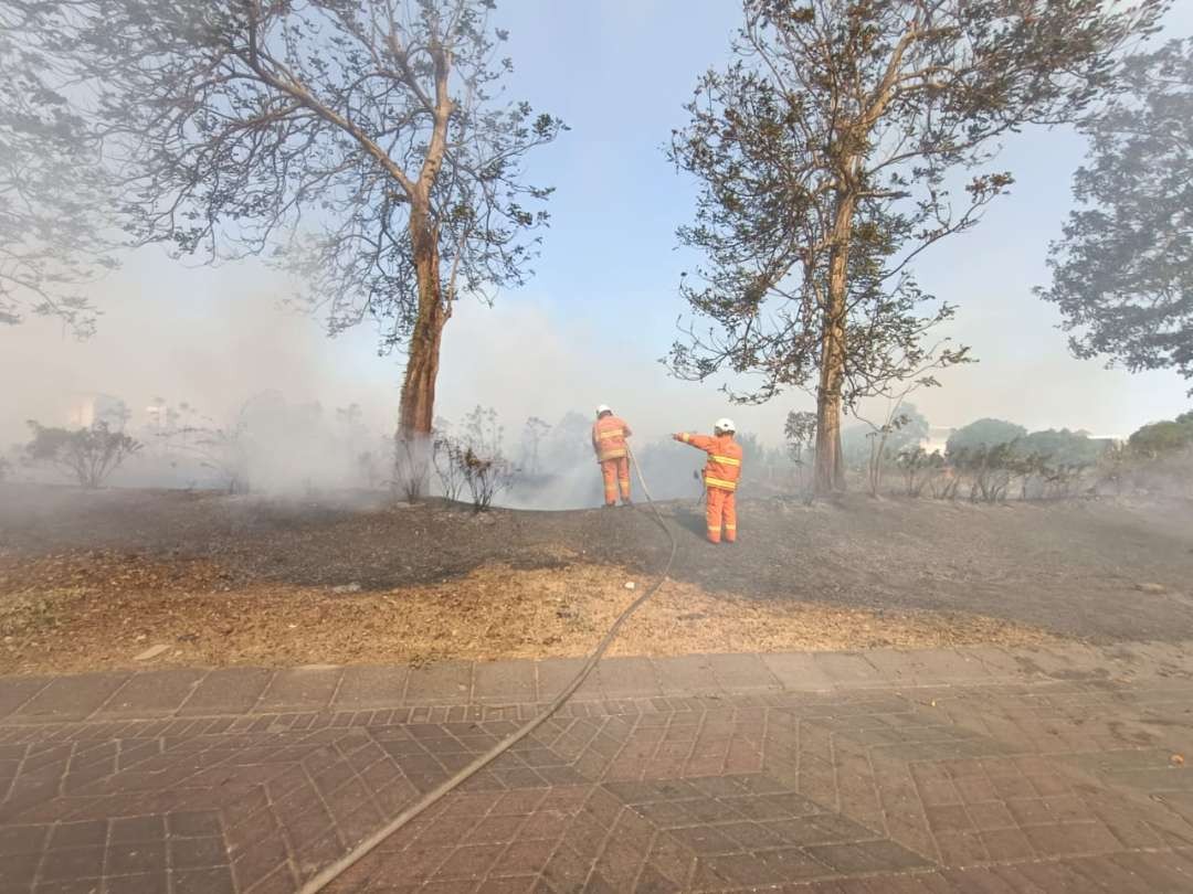 Lahan seluas 4,5 hektar di Keputih terbakar akibat percikan api akibat gesekan ilalang di area tersebut. (Foto: DPKP Kota Surabaya)