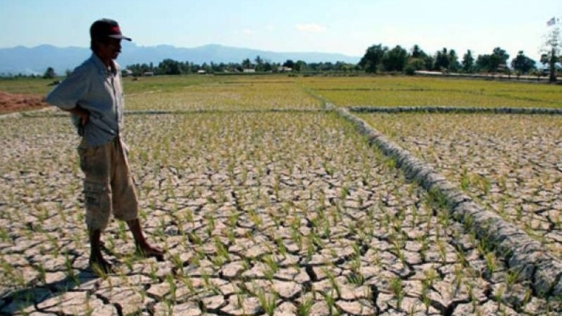 BMKG memprediksi fenomena El Nino atau kemarau panjang yang melanda Indonesia masih berlangsung hingga awal tahun 2024. (Foto: Ant)