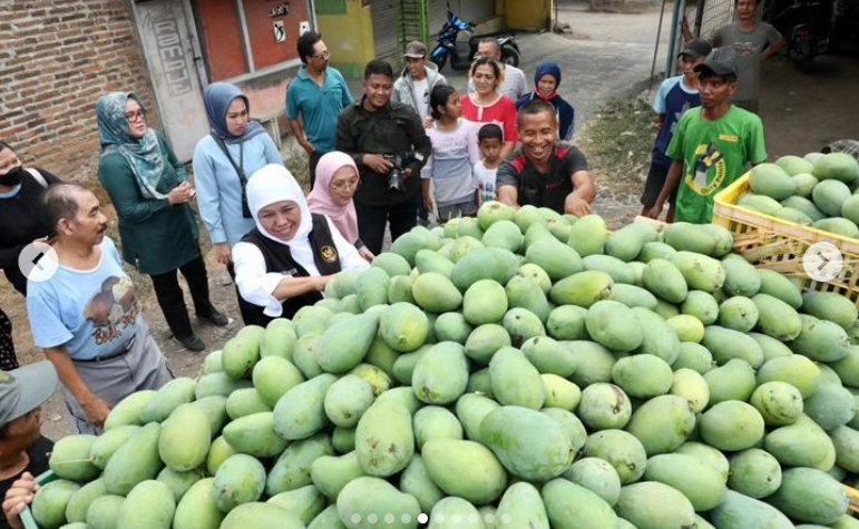 Gubernur Jawa Timur Khofifah Indar Parawansa membawa oleh-oleh mangga gadung hasil budidaya petani kaki Gunung Kelud di Kediri. (Foto: Instagram @KhofifahIp)