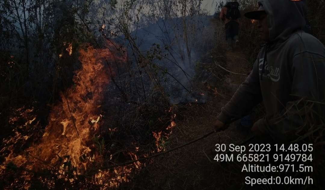 Hutan lindung di lereng Gunung Anjasmoro terbakar.(Foto Dok. BPBD Kabupaten Mojokerto)