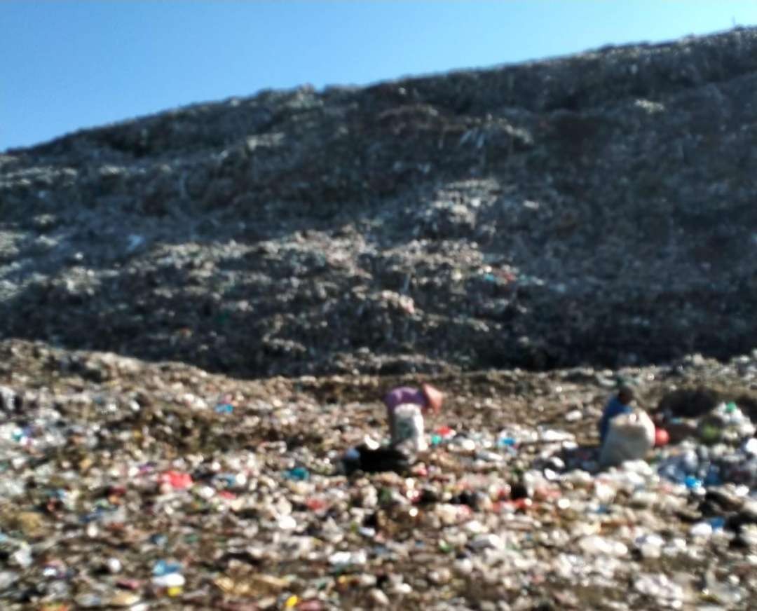 Volume sampah TPA di Jalan Lingkar Utara (JLU) Kota Probolinggo ini menurun akibat pembatasan penggunaan kantong plastik.  (Foto: Ikhsan Mahmudi/Ngopibareng.id)