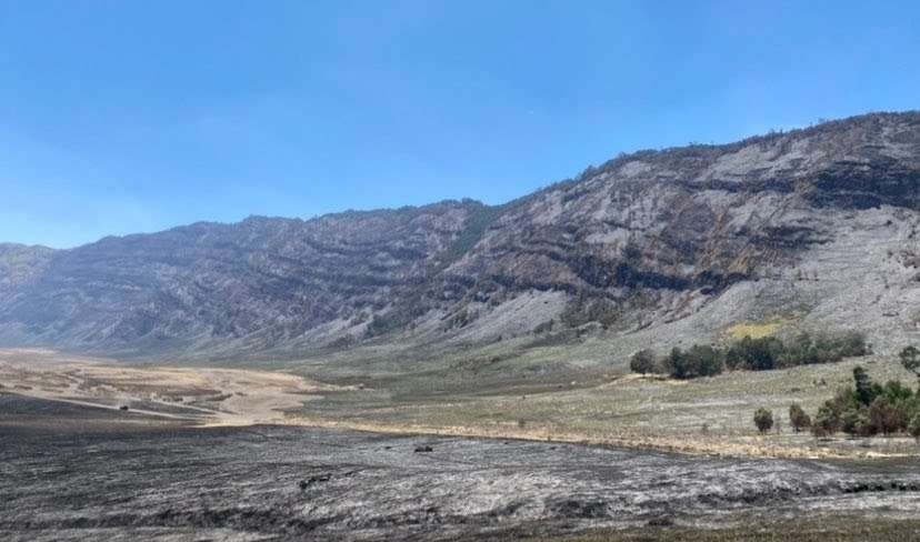 Kawasan wisata alam Gunung Bromo yang terdampak kebakaran akibat flare foto prewedding. (Foto: Lalu Theo/Ngopibareng.id)