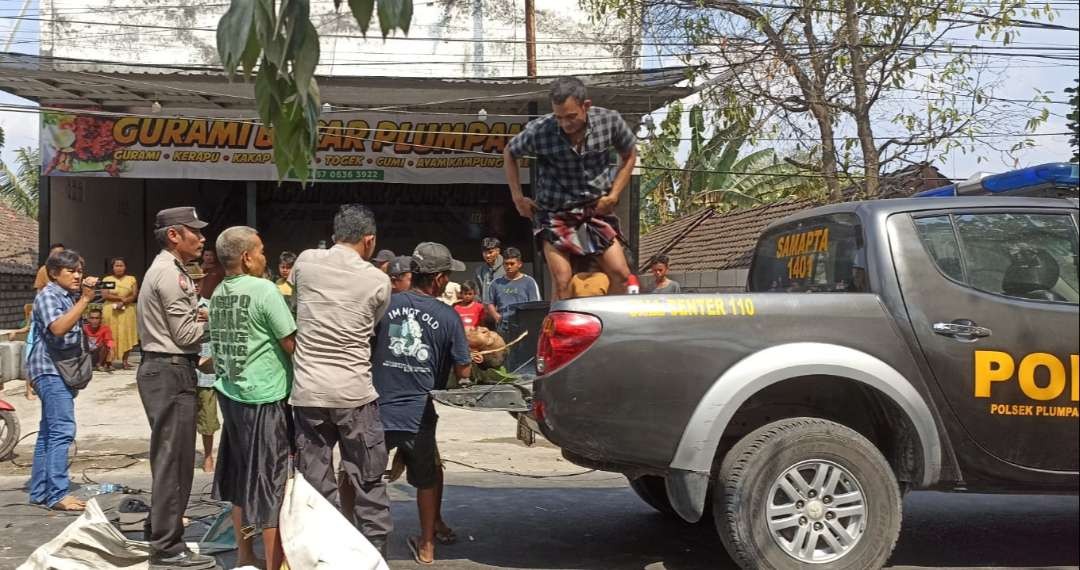 Polisi setempat dibantu warga mengevakuasi korban kecelakaan yang dipicu karena pemasangan kabel serampangan. (Foto: Dok Polres Tuban)