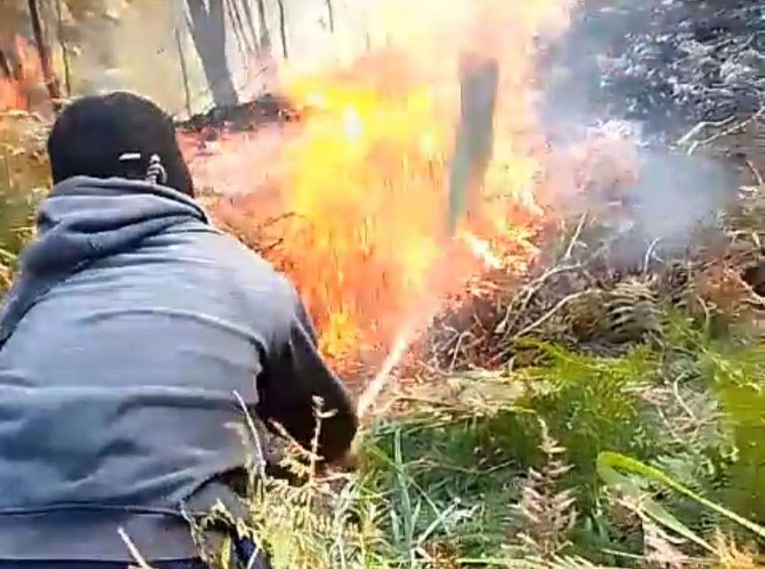 Petugas mencoba memadamkan api di sekitar Cagar Alam Kawah Ijen (Foto: istimewa)