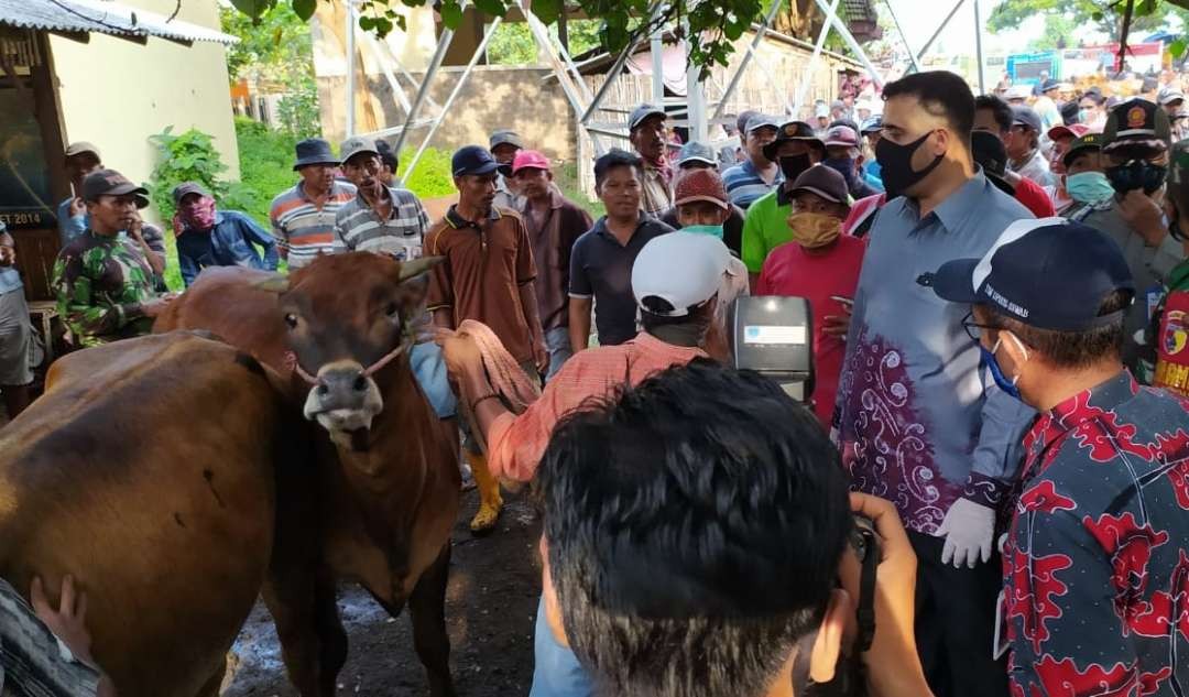Setelah serangan PMK dan LSD reda, harga sapi di Pasar Hewan Wonoasih, Kota Probolinggo kembali normal. (Foto: Ikhsan Mahmudi/Ngopibareng.id)