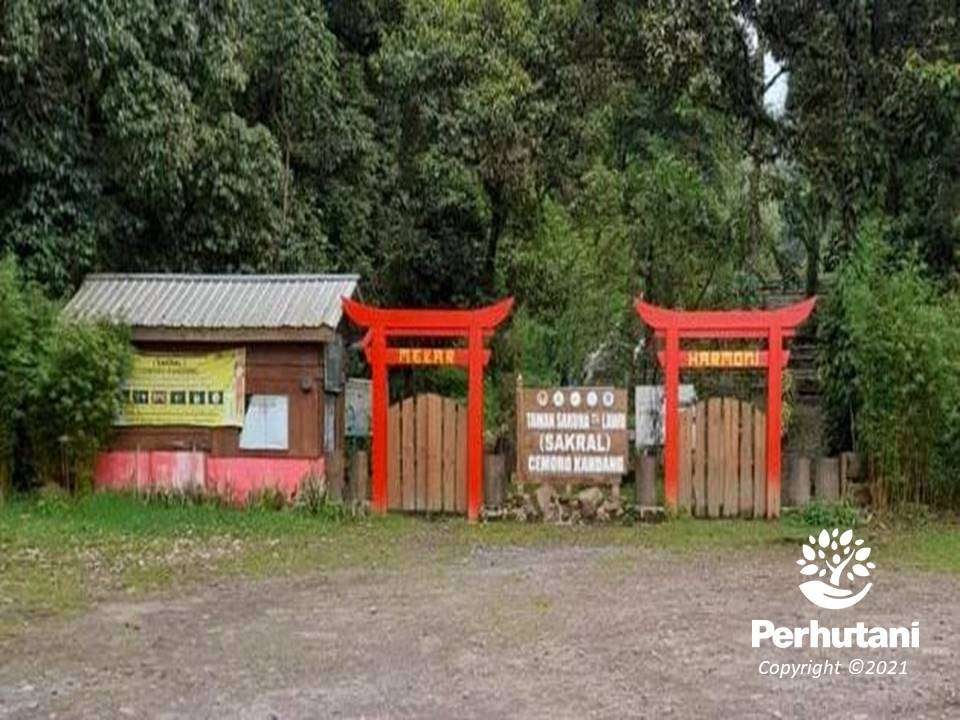 Lokasi pendakian awal di Cemoro Kandang, Kabupaten Karanganyar, Jawa Tengah. (foto: dok. perhutani)