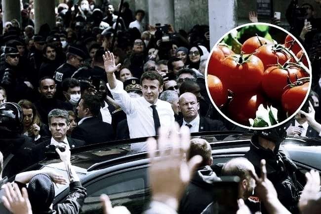Tomat yang dilempar ke calon presiden, kasus di Prancis. (Foto: ilustrasi)
