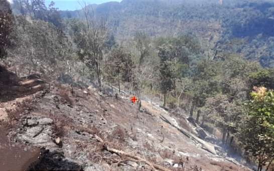 Kawasan hutan di Pegunungan Argopuro Jawa Timur yang terbakar sepekan terakhir akibat kemarau panjang.(Foto: BKSDA Jatim)