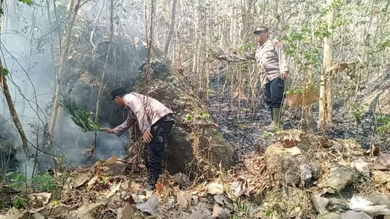 Anggota polisi tengah melakukan pemadaman kebakaran lahan  di lahan hutan negara petak 105 G masuk Desa Gador, Kecamatan Durenan, Kabupaten Trenggalek. Sabtu 28 Oktober 2023. (Foto: dok. polres trenggalek)
