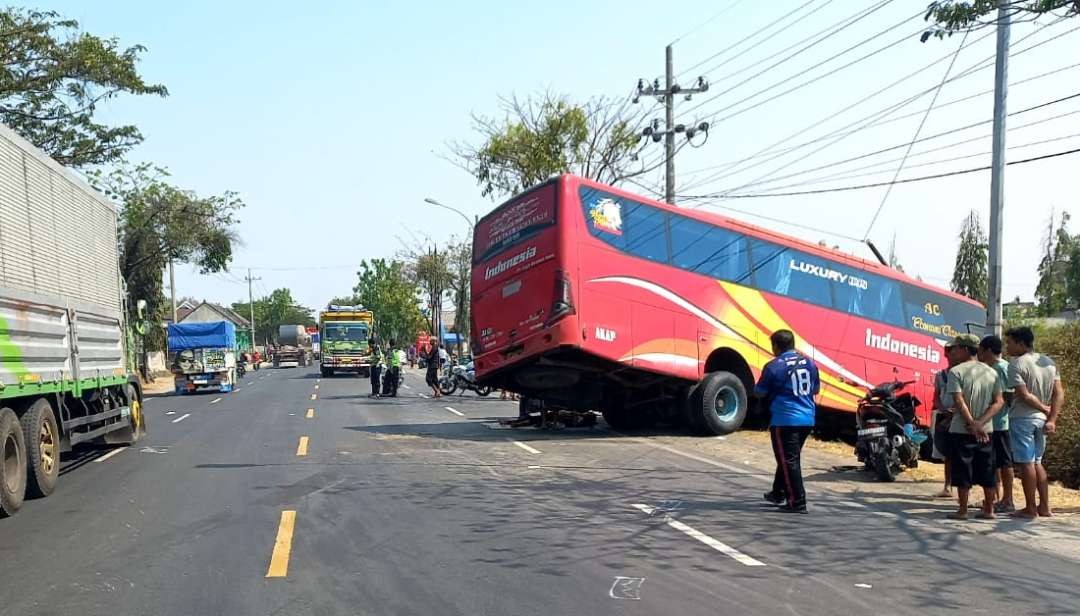 Kondisi bus nyungsep ke parat usai menabrak motor di jalur Pantura Tuban (Dok. Satlantas Polres Tuban)