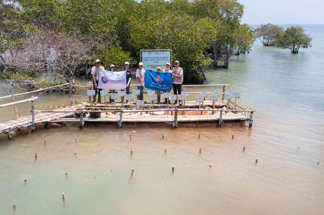 Penanaman 10 ribu Mangrove di di Pantai Kundang Wetan, Sumenep sebagai peringatan Hari Lingkungan Hidup. (Foto: Istimewa)
