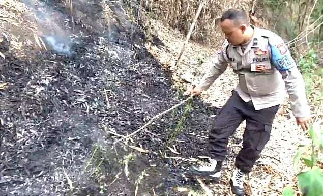 Anggota Polsek Curahdami Polres Bondowoso memadamkan titik api membakar lahan bambu dengan gepyokan.(Foto:Guido/Ngopibareng.id)