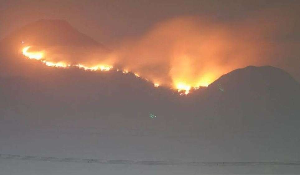 Kebakaran hutan dan lahan di Gunung Penanggungan, Kabupaten Mojokerto, Jawa Timur. (Foto: Antara)
