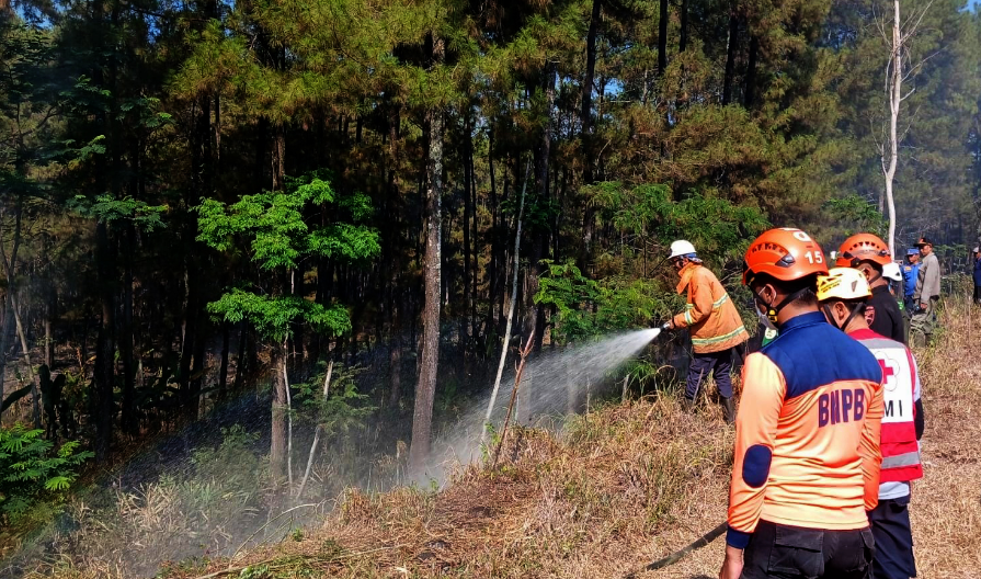 Kebakaran hutan di lahan Pinus RPH petak 44 BKPH, terjadi di Desa Kertosari, Kecamatan Pasrujambe Kabupaten Lumajang, Kamis 2 November. (Foto: Kominfo Lumajang)