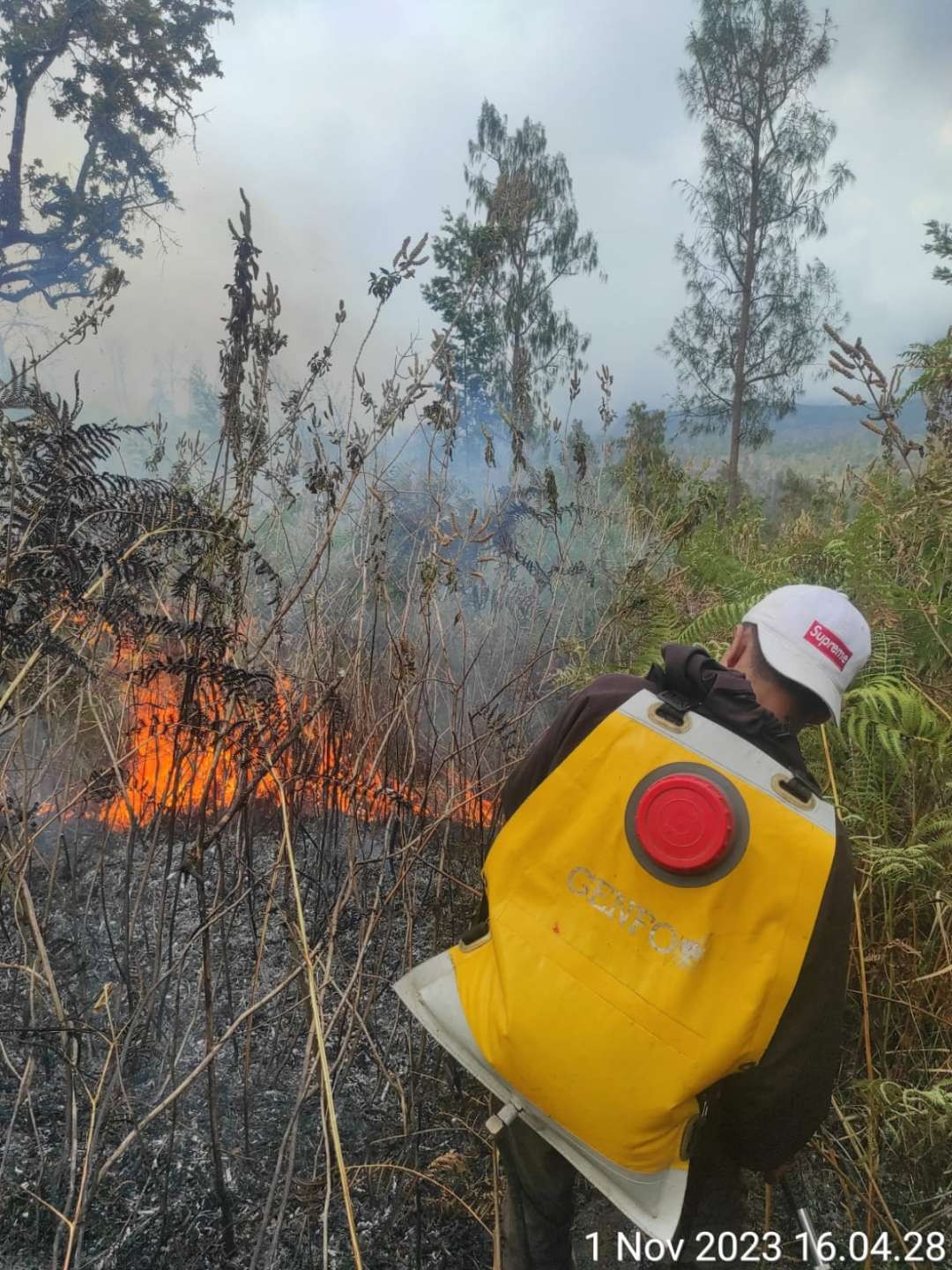 Tim gabungan berupaya memadamkan api di Desa Sembalun, Nusa Tenggara Barat, pada Kamis 2 November 2023. (Foto: dok. BPBD Provinsi NTB)
