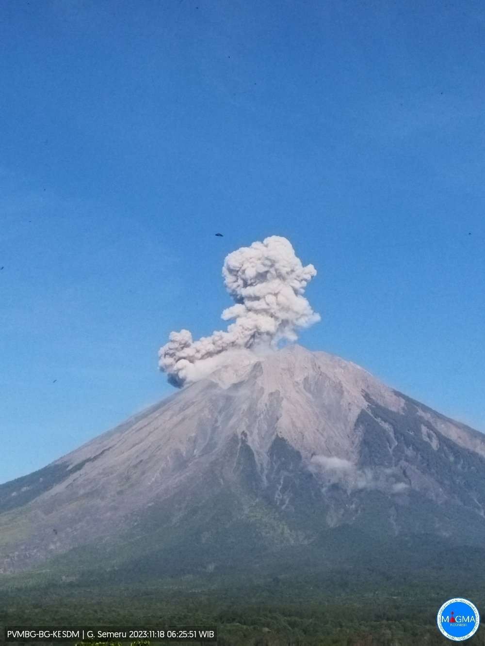 Gunung Semeru di Lumajang, Jawa Timur, erupsi Sabtu 18 November 2023. (Foto: X PVMBG)