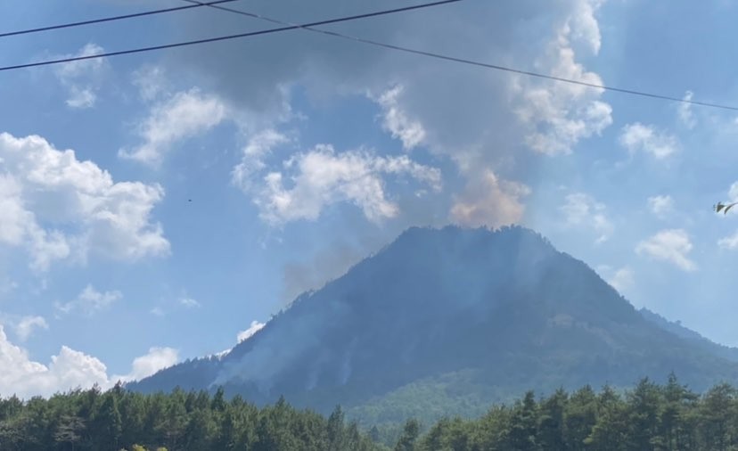 Kepulan asap kebakaran Gunung Panderman, Kota Batu, Jawa Timur. (Foto: Lalu Theo/Ngopibareng.id)