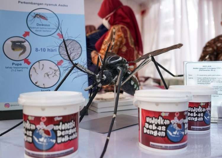 Program Kementerian Kesehatan yaitu menyebarkan jentik nyamuk berbakteri wolbachia di lima kota di Indonesia, guna menurunkan penyebaran kasus demam berdarah di Indonesia. (Foto: dok. kemenkes)