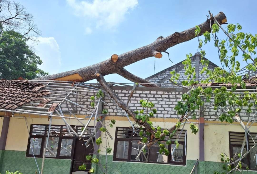 Gedung SD Negeri Desa Tambak Menjangan, Kecamatan Sarirejo, Lamongan tertimpa pohon tumbang karena angin kencang awal musim hujan. (Foto: Istimewa)