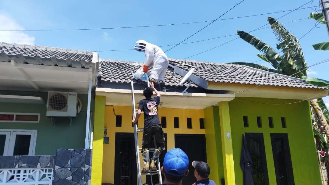 Petugas damkar mengevakuasi sarang lebah dari rumah warga di Perumahan Kertosari Land, Banyuwangi, Jawa Timur. (Foto: Muh. Hujaini/Ngopibareng.id)