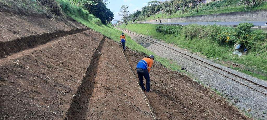 Petugas PT Kereta Api Indonesia (Persero) tengan menanam pohon serta rumput akar wangi di sebuah lokasi jalur kereta api. (Foto: dok. pt.kai)