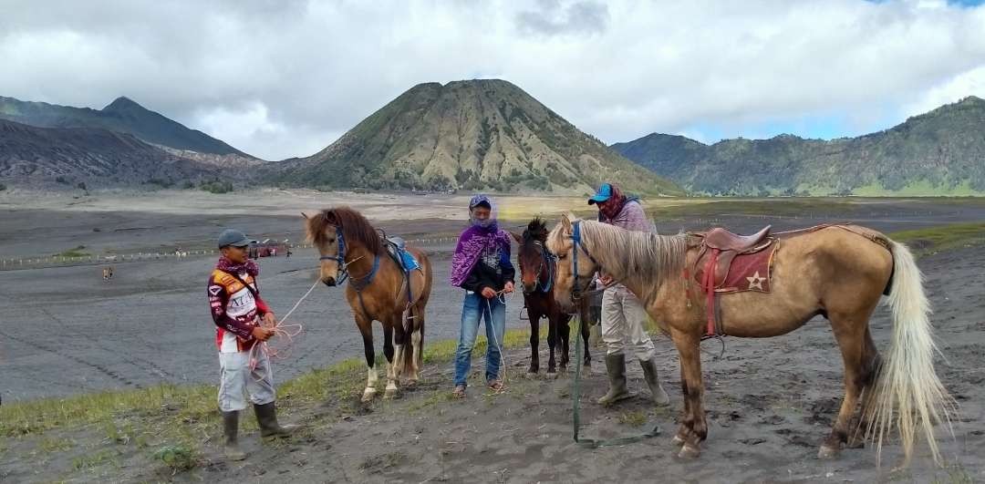 Kalangan perhotelan berharap wisatawan Gunung Bromo meningkat saat libur Natal dan tahun baru (Nataru). (Foto: Ikhsan Mahmudi/Ngopibareng.id)