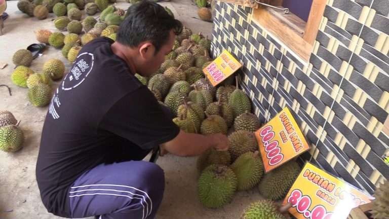 Salah satu pembeli durian, di Dusun Glatik, Desa Segulung, Kecamatan Dagangan, Kabupaten Madiun.(Foto: dok. Pemkab madiun)