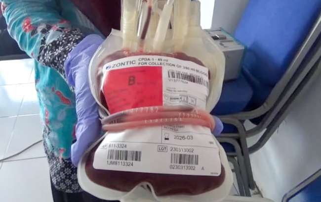 Kantong darah di PMI Sidoarjo (Foto : Aini/Ngopibareng.id)