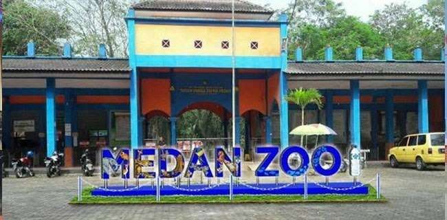 Kematian tiga harimau yang terancam punah di Medan Zoo jadi sorotan. (Foto: Instagram @pud.pembangunankotamedan)