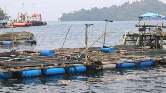 Ilustrasi tulisan; Dosa Lingkungan Khofifah & Dua Perda Kejar Tayang Jelang Lengser. Keramba jaring laut di perairan Jatim. (Foto:Ngopibareng.Id/Kominfo Jatim)