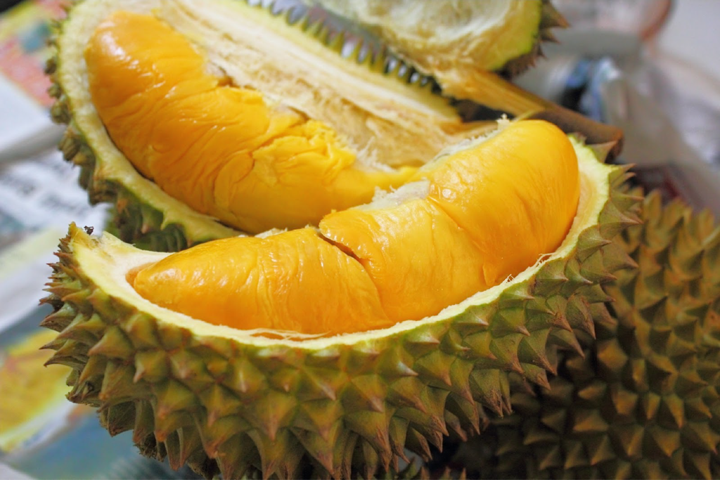 Buah durian jangan dikonsumsi bersamaan jenis makanan tertentu agar tak mengganggu kondisi tubuh. (Foto: Istimewa)