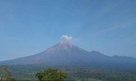 Petugas Pos Pengamatan Gunung api Semeru, melaporkan aktivitas berupa erupsi dengan ketinggian letusan mencapai 900 meter, di atas puncak. (Foto: Magma ESDM)
