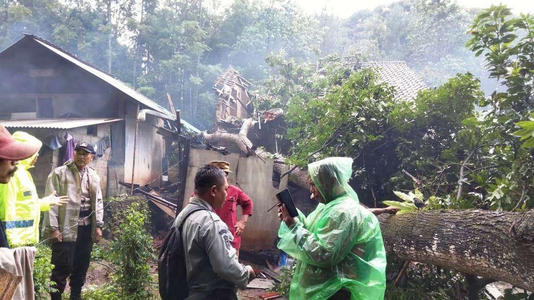 Petugas berkoordinasi untuk melakukan evakuasi pohon mahoni yang tumbang (Foto:istimewa)
